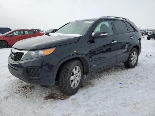 KIA SORENTO LX 2013 with VIN 5XYKTDA22DG316040 - Photo from auction