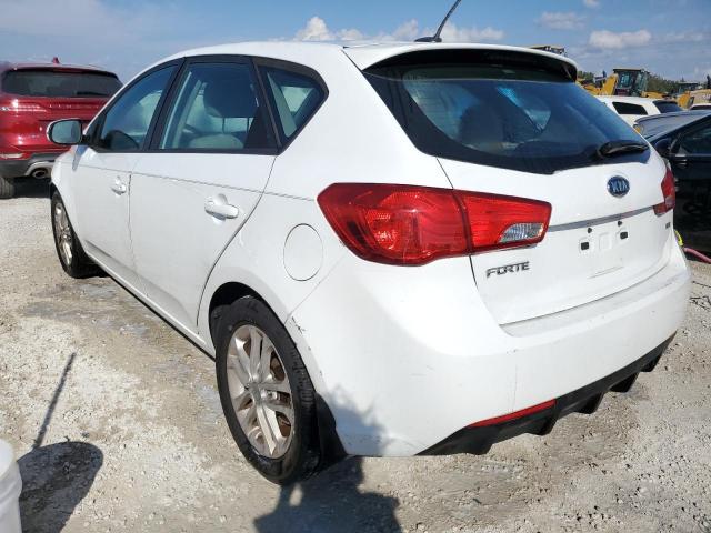 Photo 2 from auction – 2011 KIA FORTE EX with VIN KNAFU5A20B5328047