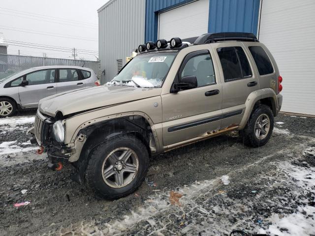 JEEP LIBERTY RE 2004 with VIN 1J4GL38K74W249549 - Photo from auction