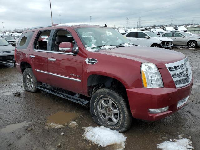 Photo 4 from auction – 2010 CADILLAC ESCALADE P with VIN 1GYUKDEF3AR118759