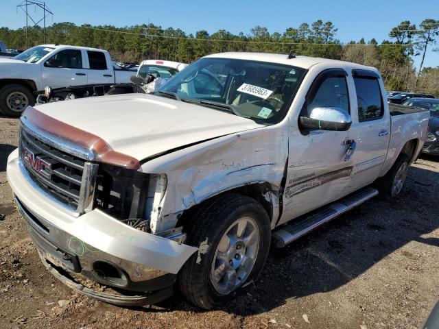 GMC SIERRA C15 2009 with VIN 3GTEC33J69G176501 - Photo from auction