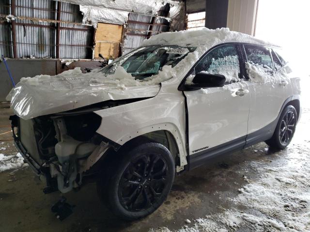 GMC TERRAIN SL 2019 with VIN 3GKALTEV9KL359407 - Photo from auction