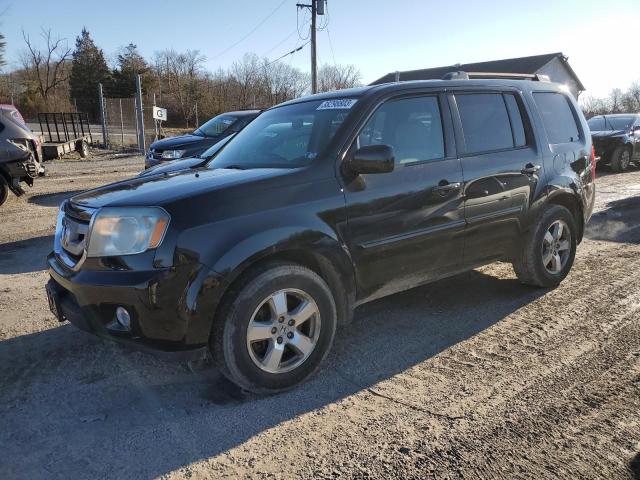 HONDA PILOT EX 2010 with VIN 5FNYF4H43AB031746 - Photo from auction