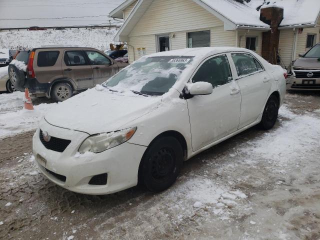 TOYOTA COROLLA BA 2009 with VIN JTDBL40EX9J005572 - Photo from auction