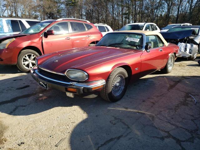 JAGUAR XJS 1992 with VIN SAJNW4844NC181890 - Photo from auction