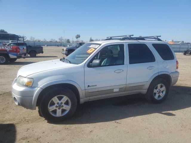 FORD ESCAPE HEV 2007 with VIN 1FMCU49HX7KB44697 - Photo from auction