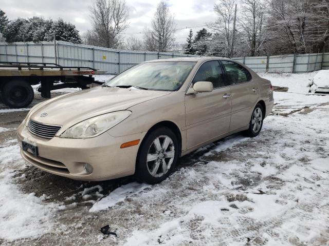 LEXUS ES 330 2005 with VIN JTHBA30G355089172 - Photo from auction