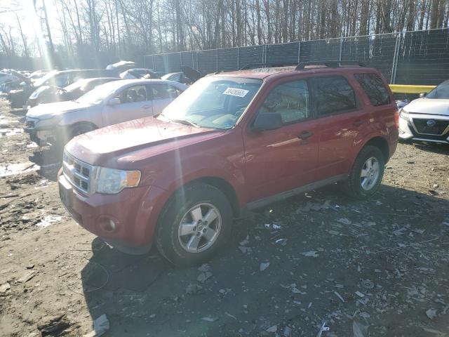 FORD ESCAPE XLT 2011 with VIN 1FMCU0D73BKA66523 - Photo from auction