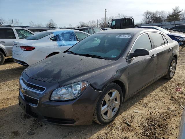 CHEVROLET MALIBU LS 2012 with VIN 1G1ZB5E06CF252806 - Photo from auction