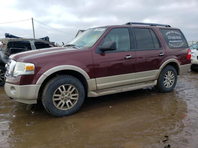 Photo 1 from auction – 2010 FORD EXPEDITION with VIN 1FMJU1J57AEA17354