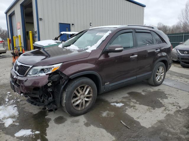 KIA SORENTO LX 2014 with VIN 5XYKTCA62EG474568 - Photo from auction
