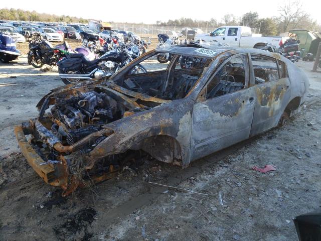 NISSAN MAXIMA SE 2007 with VIN 1N4BA41E67C820007 - Photo from auction