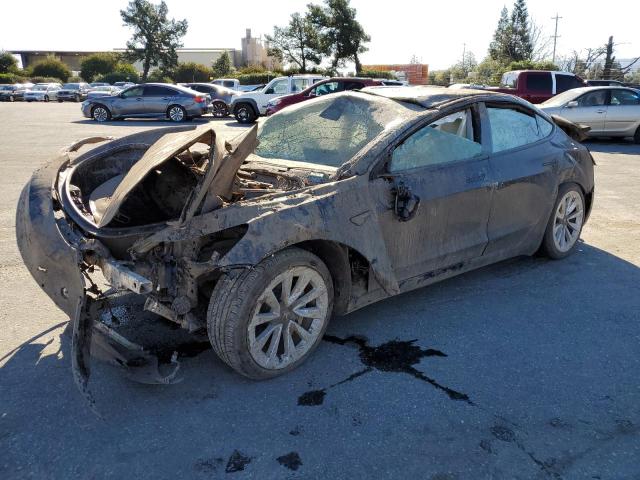TESLA MODEL 3 2022 with VIN 5YJ3E1EB5NF180924 - Photo from auction
