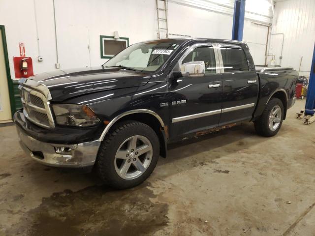 DODGE RAM 1500 2009 with VIN 1D3HV13T89S780063 - Photo from auction