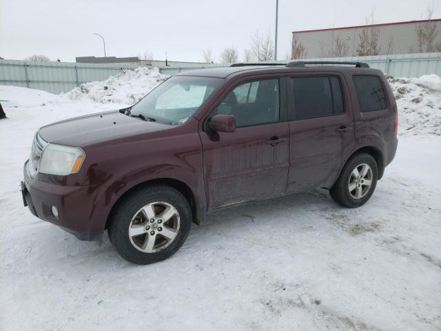 HONDA PILOT EXL 2011 with VIN 5FNYF4H51BB002871 - Photo from auction