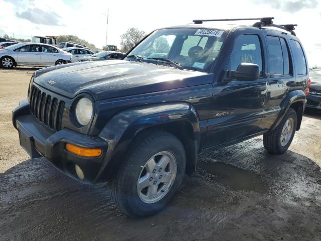 Photo 1 from auction – 2002 JEEP LIBERTY with VIN 1J4GL58K92W113626