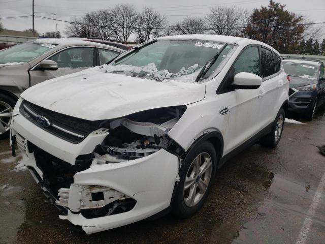 Photo 1 from auction – 2014 FORD ESCAPE SE with VIN 1FMCU0GX2EUA29399