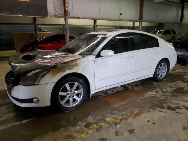 NISSAN MAXIMA SE 2005 with VIN 1N4BA41E95C813260 - Photo from auction