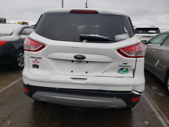 Photo 6 from auction – 2014 FORD ESCAPE SE with VIN 1FMCU0GX2EUA29399