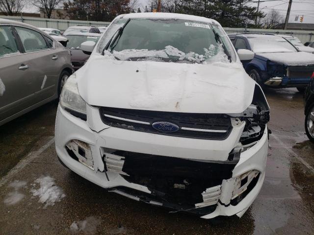 Photo 5 from auction – 2014 FORD ESCAPE SE with VIN 1FMCU0GX2EUA29399