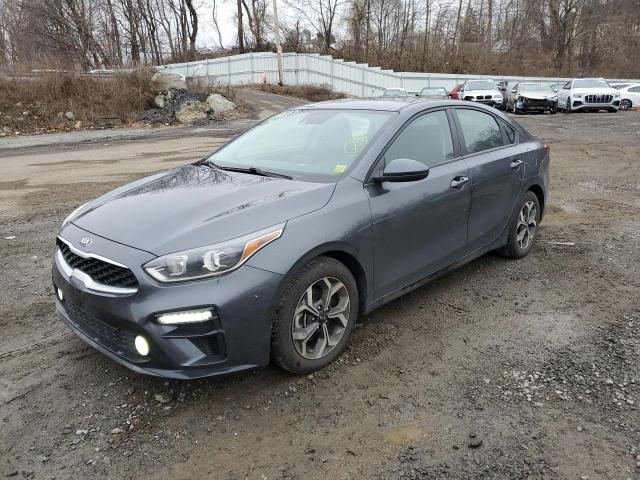 KIA FORTE FE 2019 with VIN 3KPF24AD7KE117307 - Photo from auction