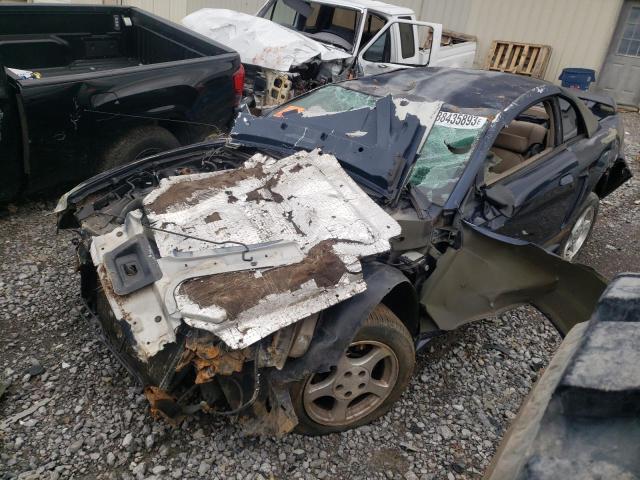 FORD MUSTANG 2003 with VIN 1FAFP40453F344463 - Photo from auction