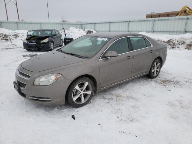 CHEVROLET MALIBU 1LT 2011 with VIN 1G1ZC5E13BF329832 - Photo from auction