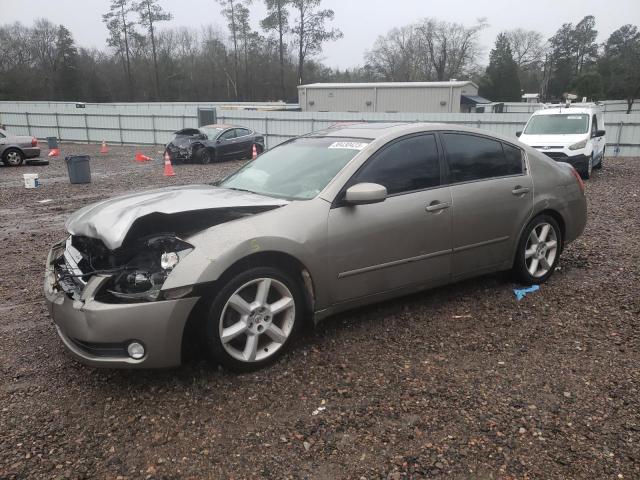 NISSAN MAXIMA SE 2004 with VIN 1N4BA41E14C865142 - Photo from auction