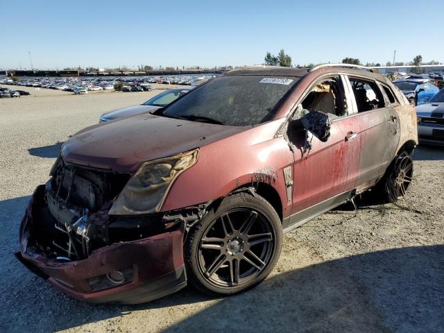 CADILLAC SRX PREMIU 2011 with VIN 3GYFNCEYXBS506887 - Photo from auction