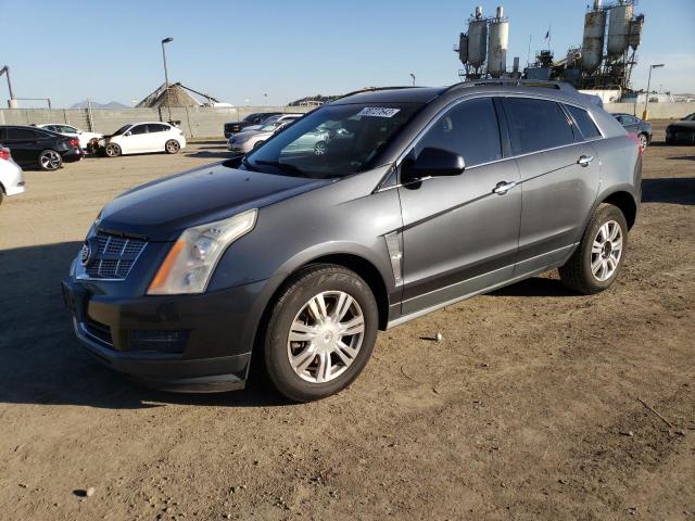 CADILLAC SRX 2011 with VIN 3GYFNGEY5BS505248 - Photo from auction