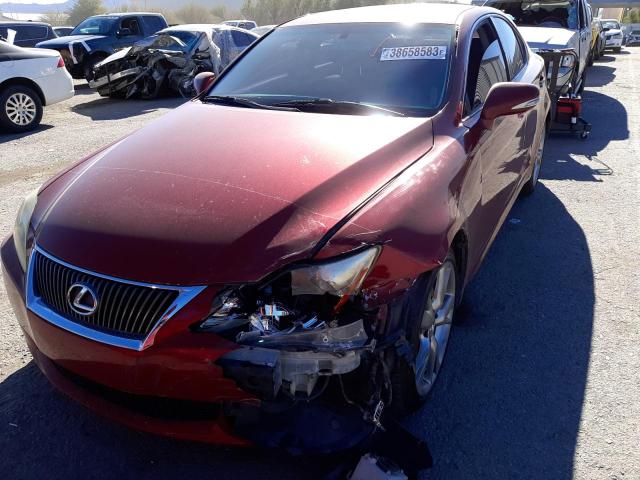 LEXUS IS 250 2009 with VIN JTHBK262192083039 - Photo from auction