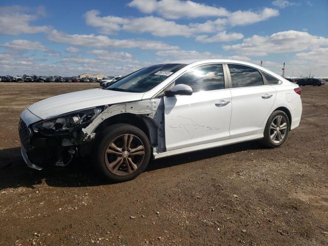 HYUNDAI SONATA LIM 2019 with VIN 5NPE34AF4KH771459 - Photo from auction