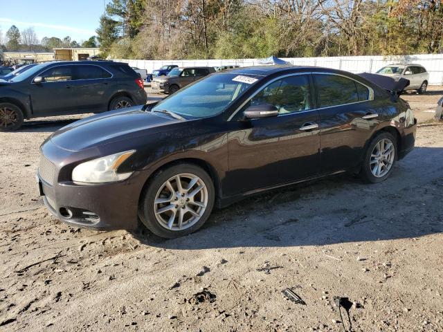 NISSAN MAXIMA S 2010 with VIN 1N4AA5AP8AC863676 - Photo from auction
