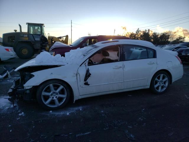 NISSAN MAXIMA SE 2004 with VIN 1N4BA41E24C905146 - Photo from auction