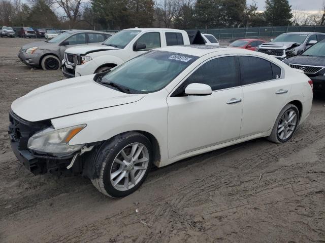 NISSAN MAXIMA 2009 with VIN 1N4AA51E19C837303 - Photo from auction