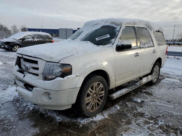 FORD EXPEDITION 2010 with VIN 1FMJU2A56AEB65372 - Photo from auction