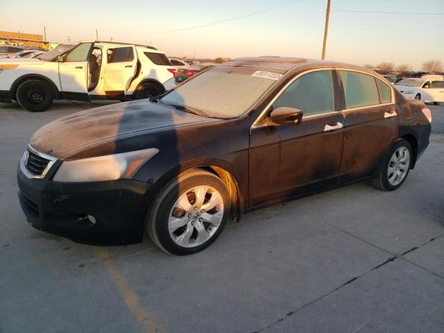 HONDA ACCORD EXL 2010 with VIN 1HGCP3F84AA025018 - Photo from auction