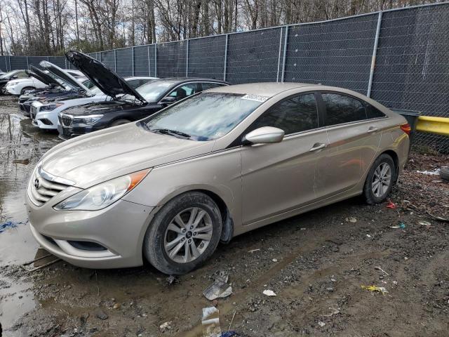 HYUNDAI SONATA GLS 2011 with VIN 5NPEB4AC6BH023868 - Photo from auction
