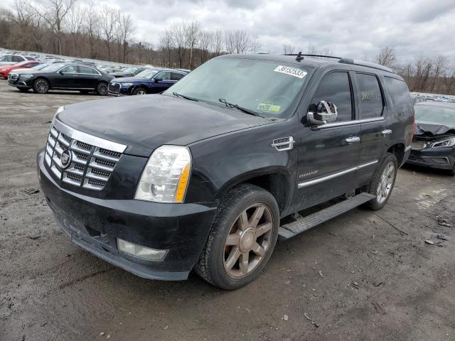 CADILLAC ESCALADE P 2010 with VIN 1GYUKCEF3AR214014 - Photo from auction