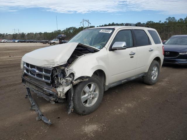 FORD ESCAPE XLT 2010 with VIN 1FMCU0D73AKA30796 - Photo from auction