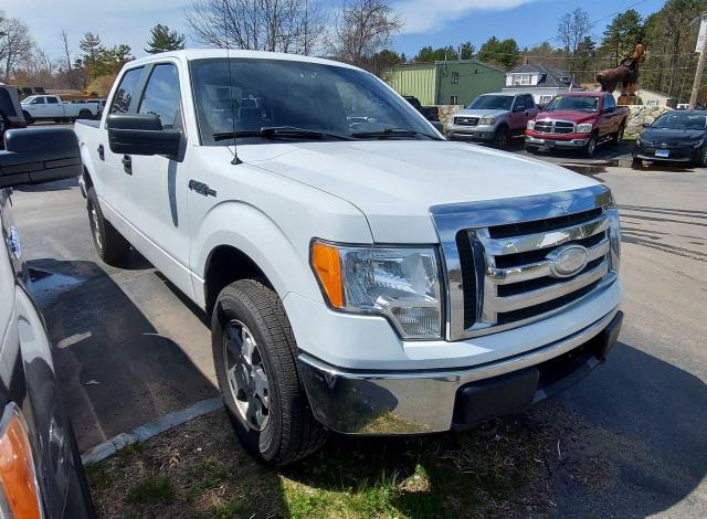 FORD F150 SUPER 2009 with VIN 1FTRW14859FA87058 - Photo from auction