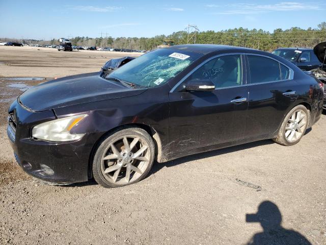 NISSAN MAXIMA S 2010 with VIN 1N4AA5AP8AC850149 - Photo from auction