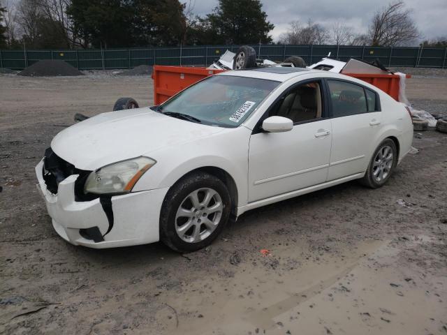 NISSAN MAXIMA SE 2008 with VIN 1N4BA41E97C817361 - Photo from auction