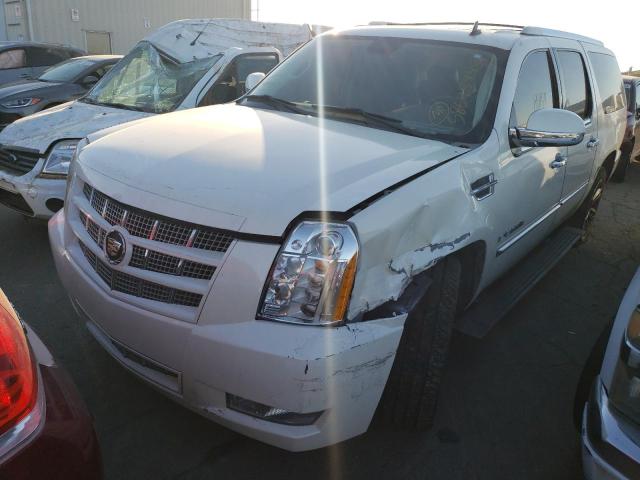 CADILLAC ESCALADE E 2009 z numerem VIN 1GYFK36269R226500 - Zdjęcie z aukcji