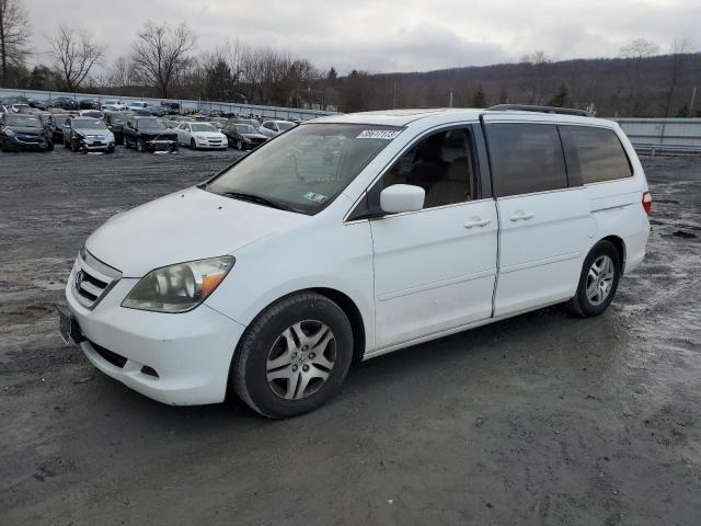 HONDA ODYSSEY 2007 with VIN 5FNRL38747B145054 - Photo from auction
