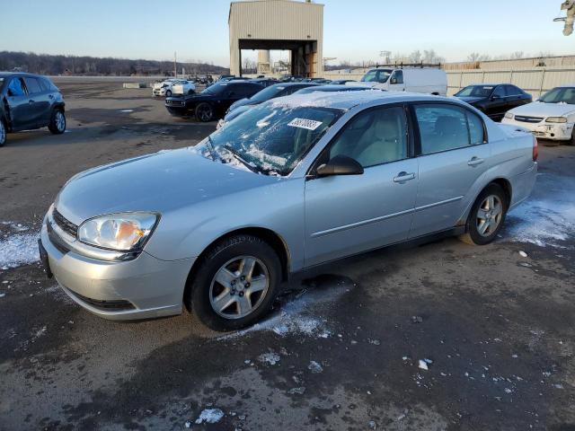 CHEVROLET MALIBU 2005 with VIN 1G1ZT54875F173121 - Photo from auction