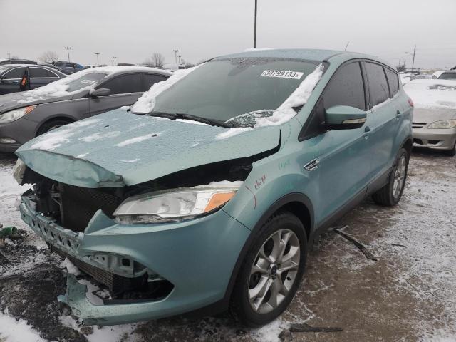 FORD ESCAPE SEL 2013 with VIN 1FMCU0H92DUB98126 - Photo from auction