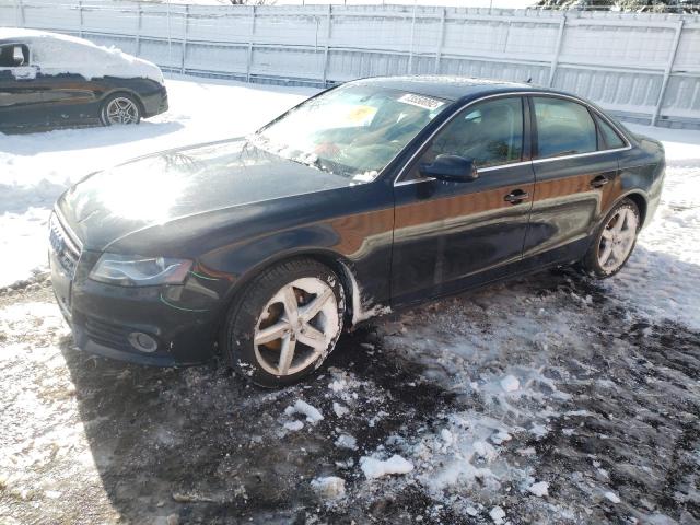 AUDI A4 PREMIUM 2010 with VIN WAUFFCFL3AN043230 - Photo from auction