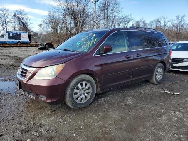 HONDA ODYSSEY EX 2008 with VIN 5FNRL38628B417450 - Photo from auction