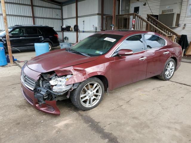 NISSAN MAXIMA S 2010 with VIN 1N4AA5AP1AC835475 - Photo from auction